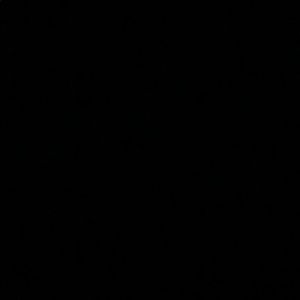 Meet your Posher, Payton